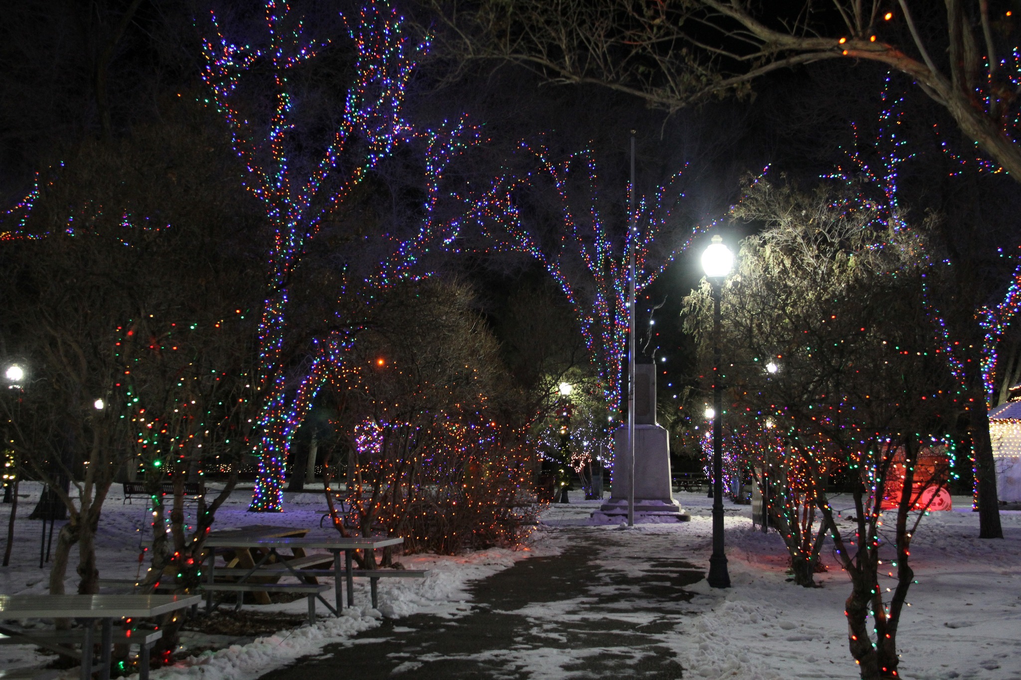 Christmas in the Park