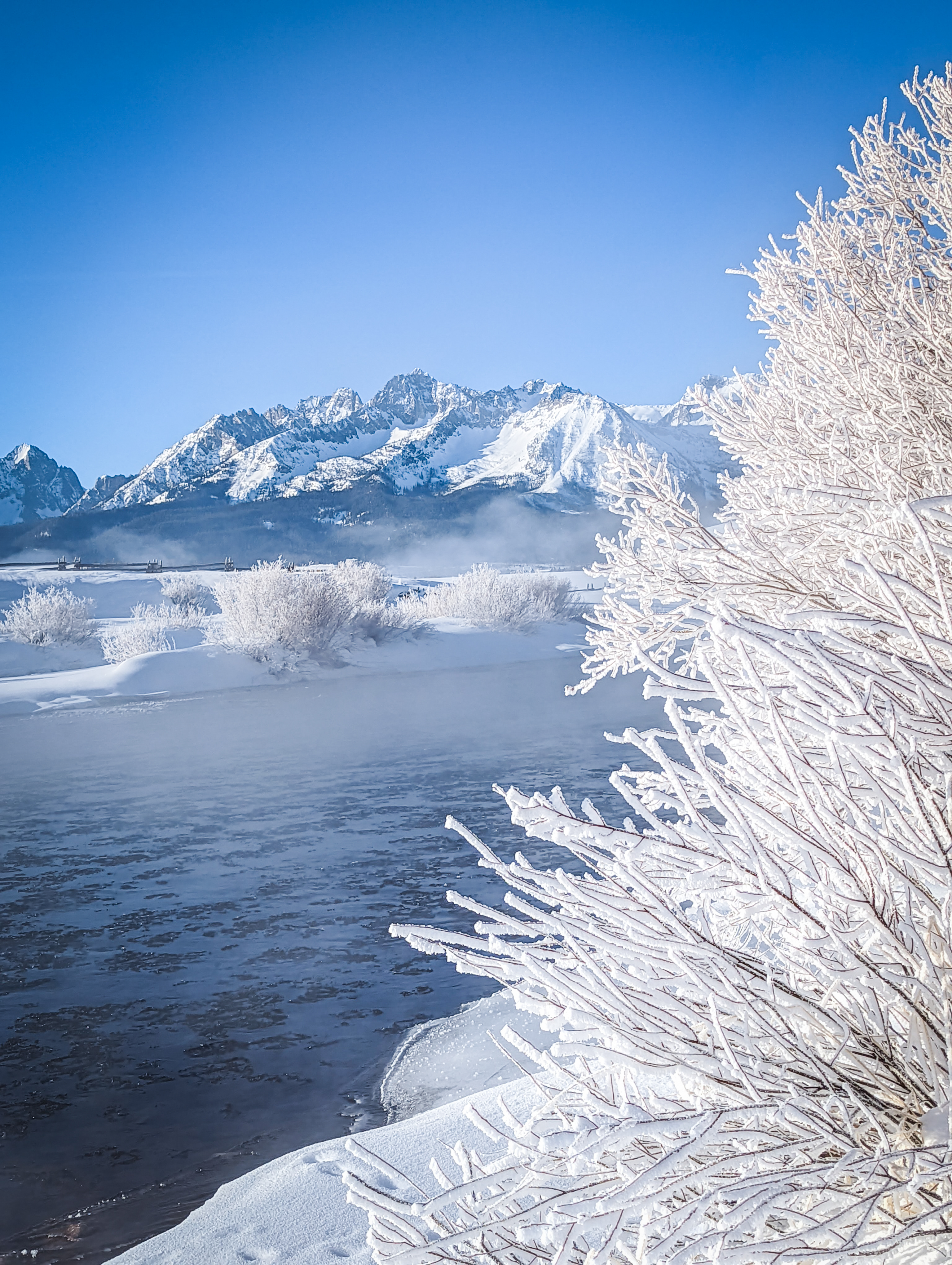 Snow Globe Stanley - Ashley Loeb, Boise Lifestyle Magazine