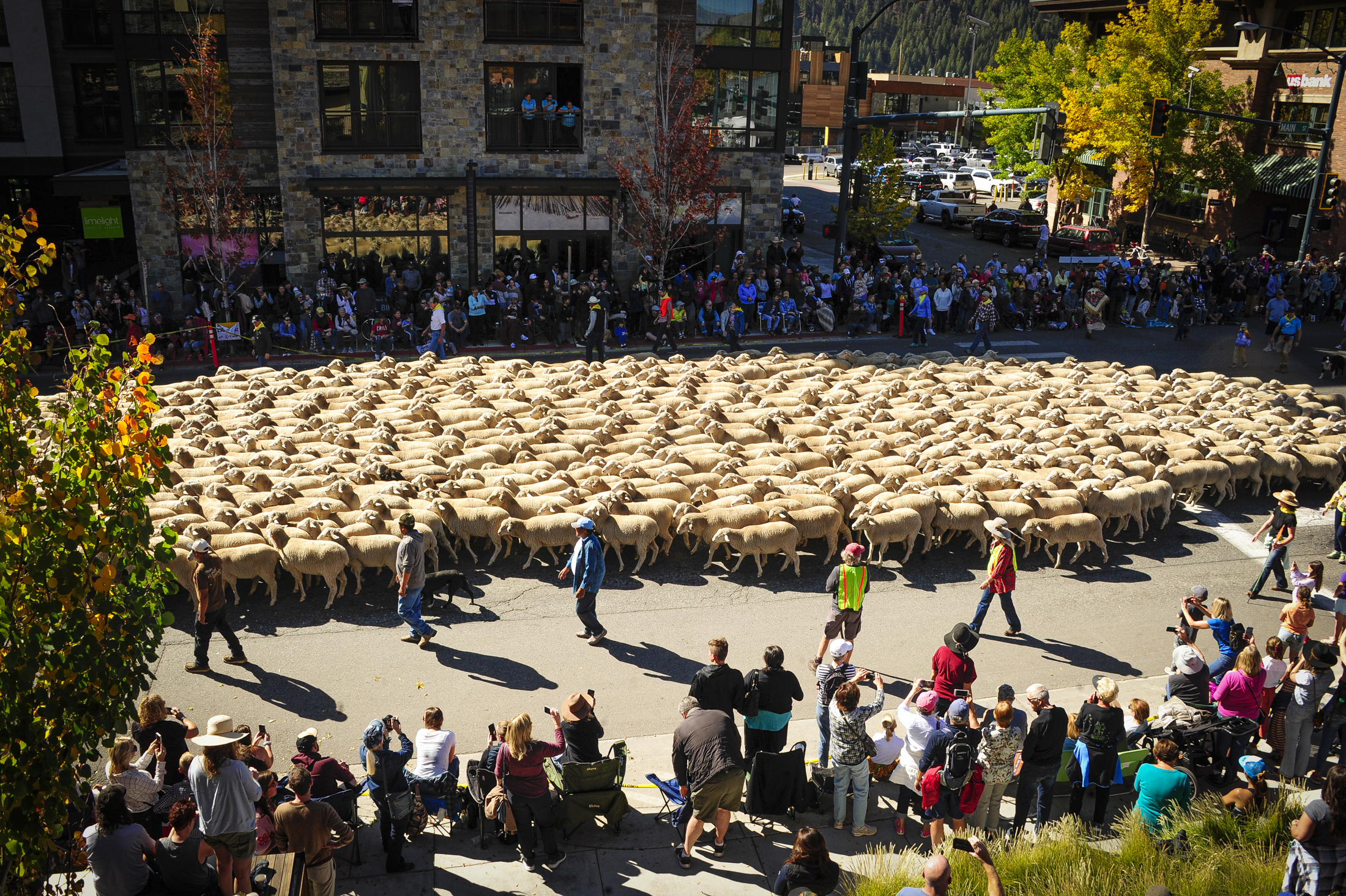 A Walk On The Wild Side