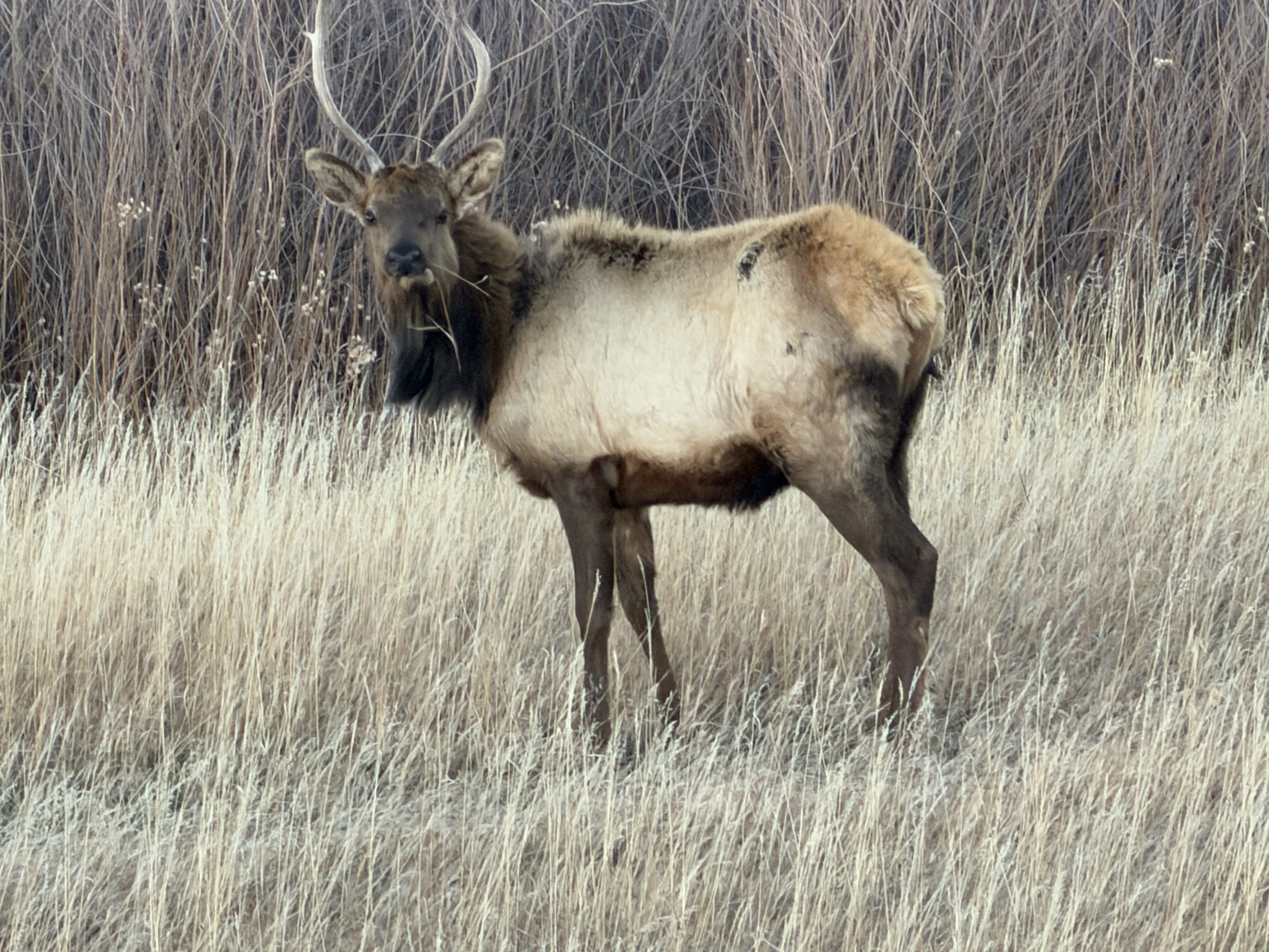 When You're Trying to Mind your Business