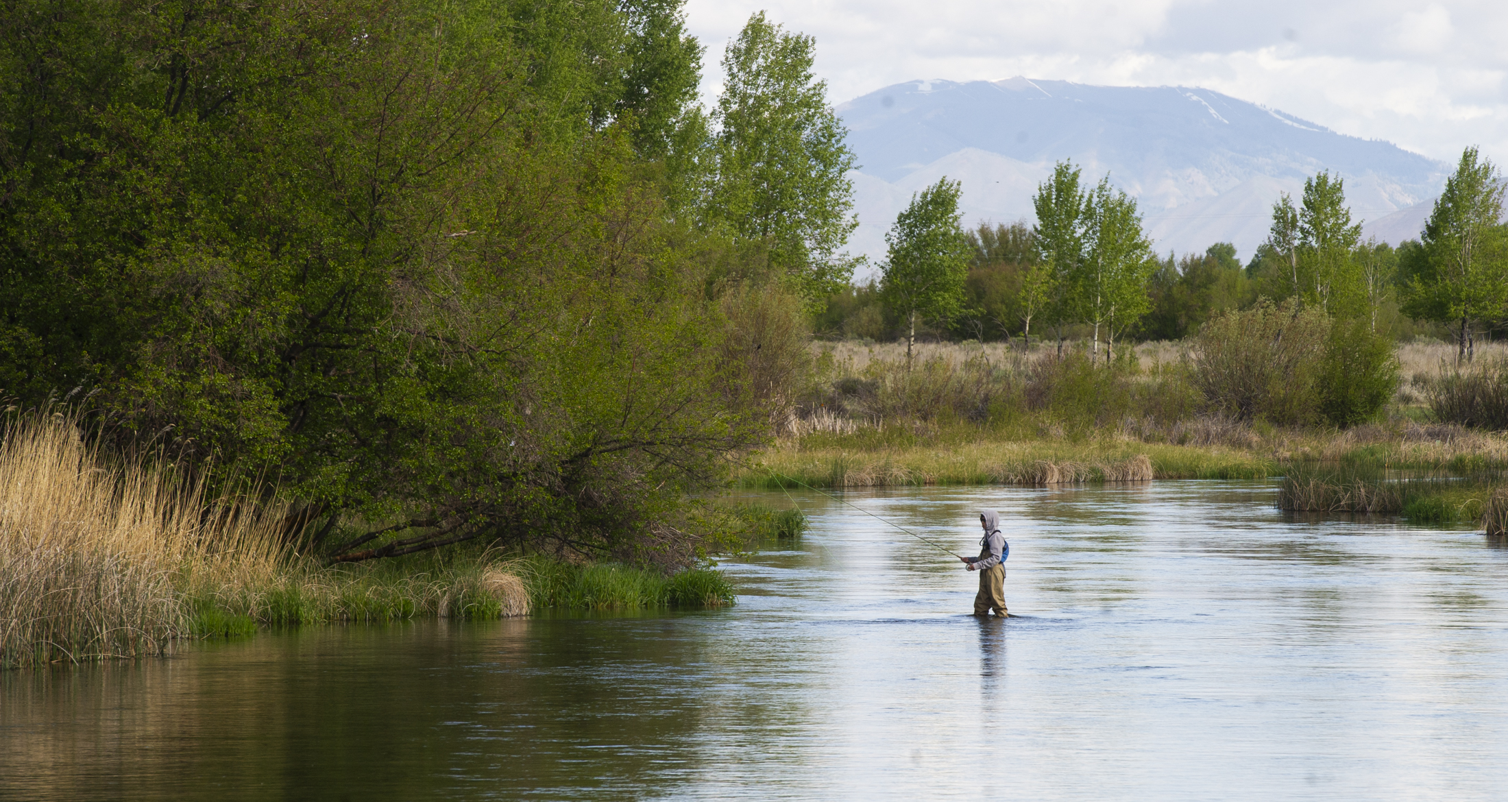 Spring Peaks At Silver Creek