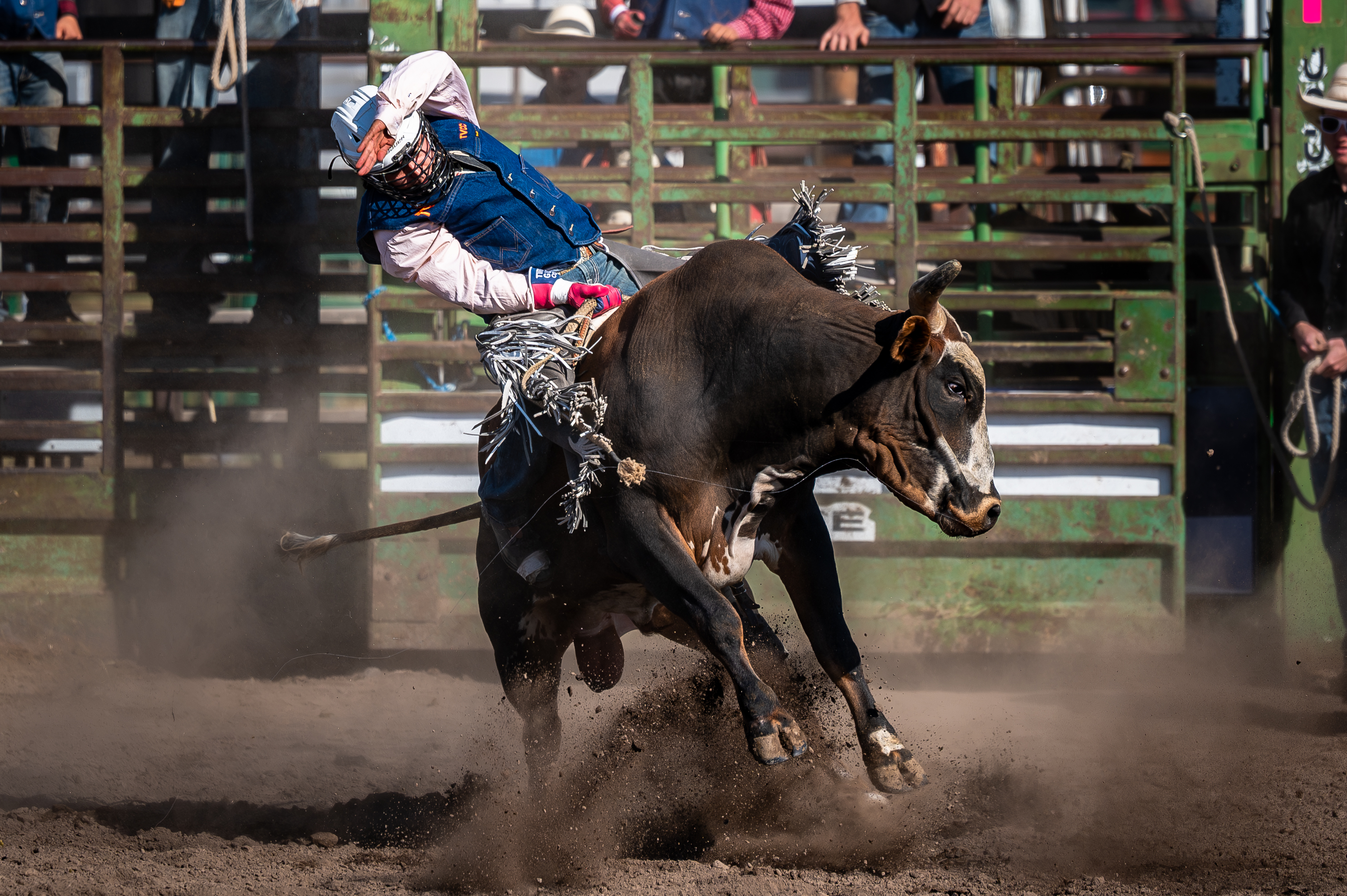 Vigil Northern Lights Rodeo