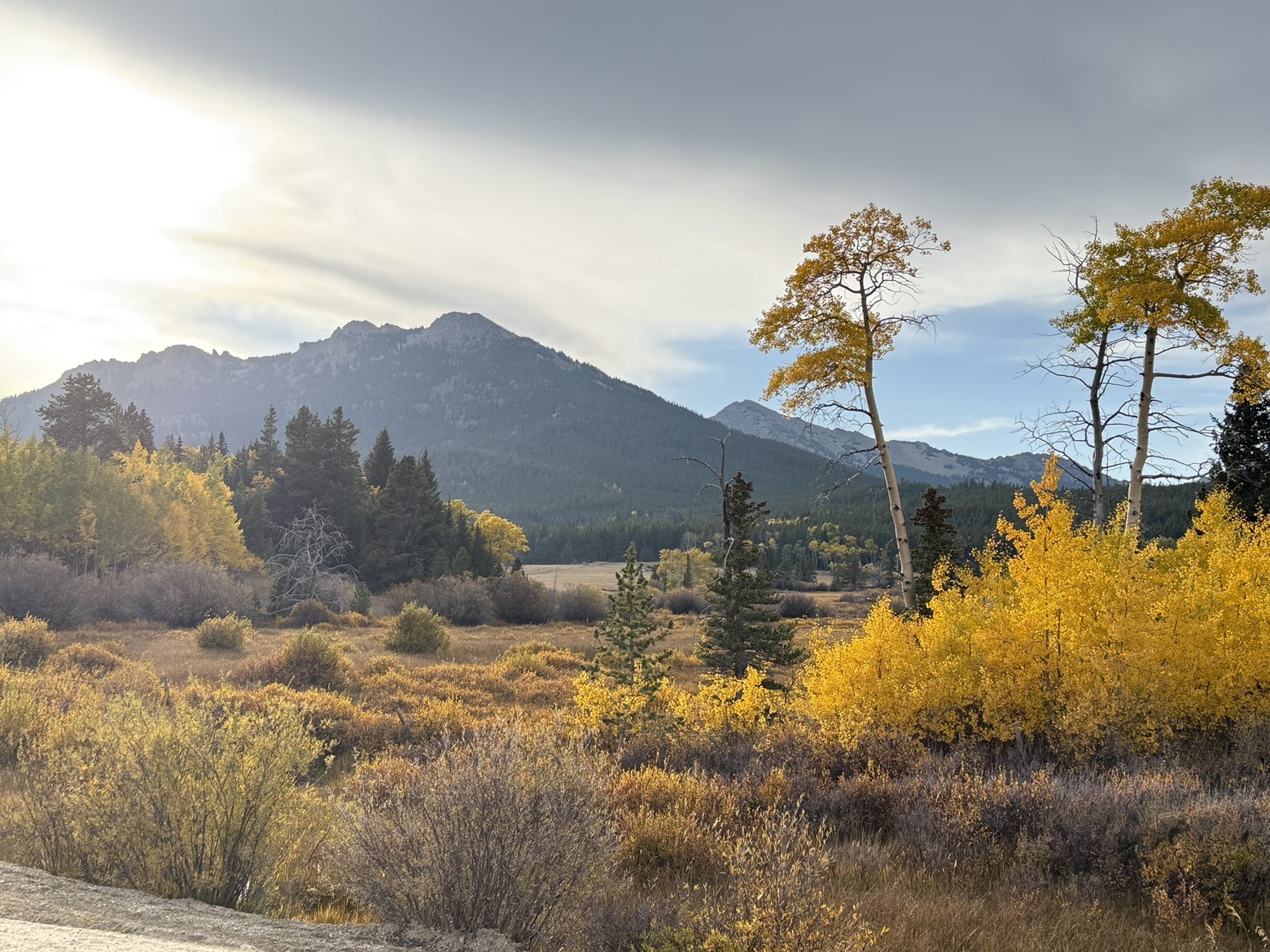 Best Photography Fall in the Bighorns